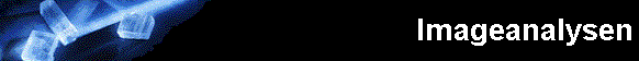 Imageanalysen